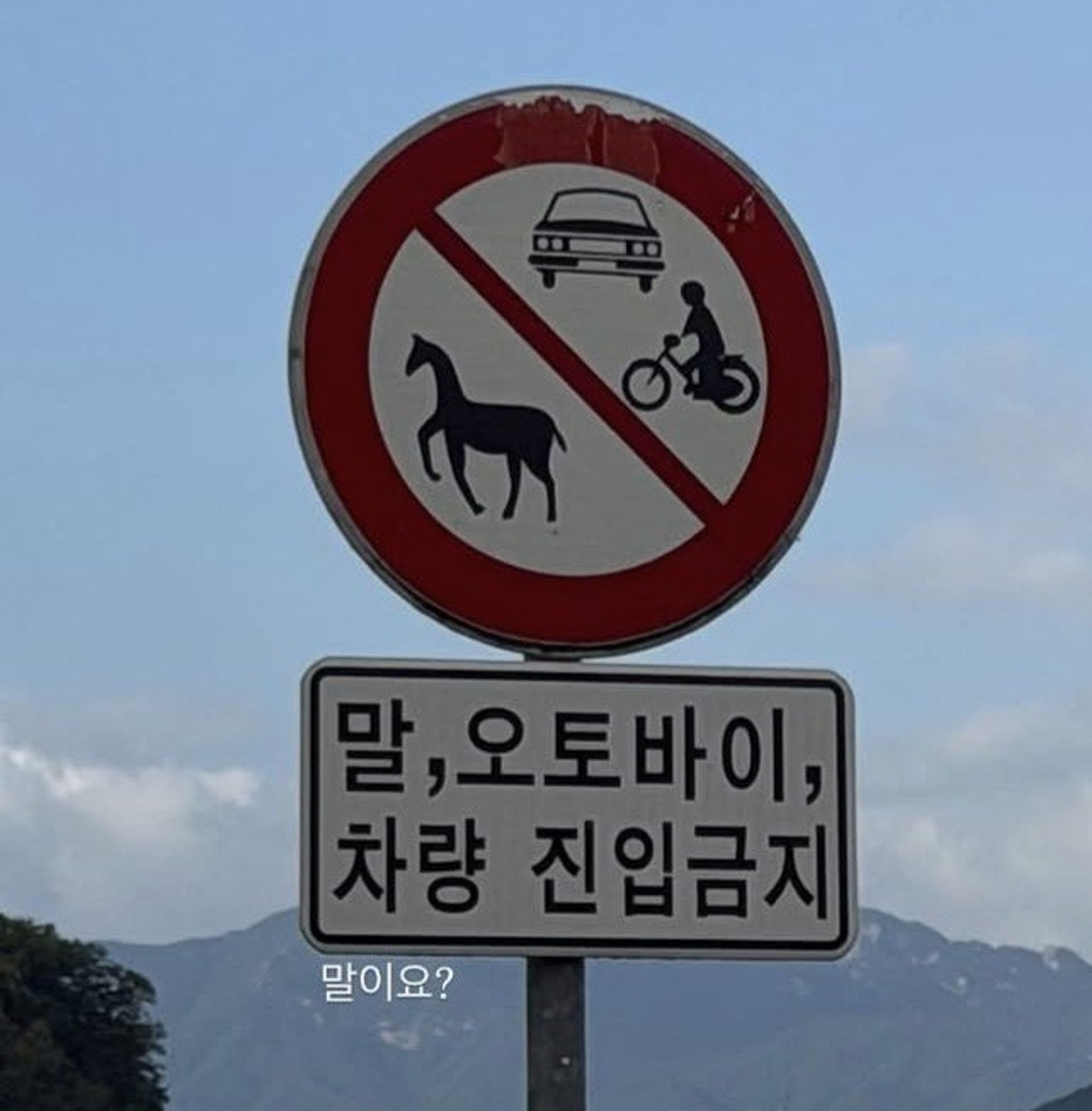 우아한