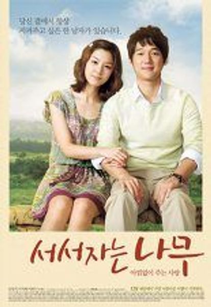 서서 자는 나무