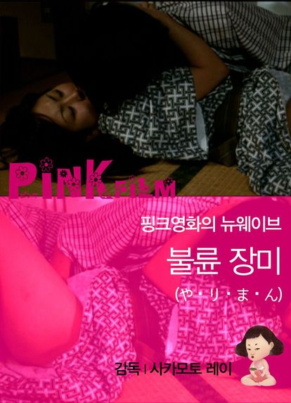 불륜 장미