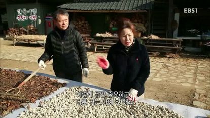 한국기행 - 복맞이 기행