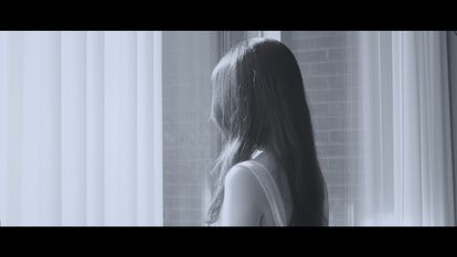차가운 새들의 세계