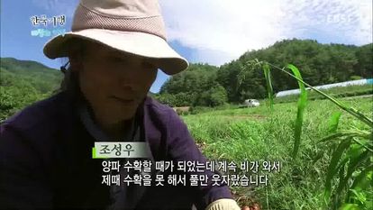 한국기행 - 바람의 언덕