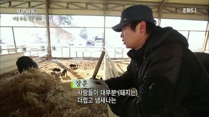 한국기행 - 겨울 산중, 별난 인생