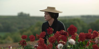 위도우 클리코