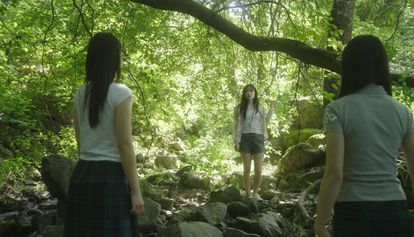 봄매미